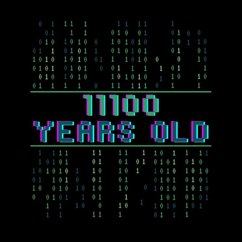 28th Birthday 28 years old Binary Code Coder