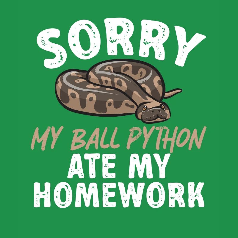 Ball Python Schlange Königspython