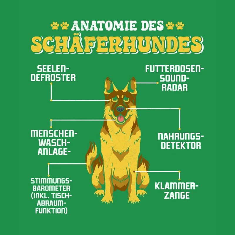 Deutscher Schäferhund ANATOMIE DES SCHÄFERHUNDES
