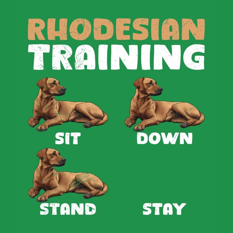 RHODESIAN RIDGEBACK TRAINING Lustiges Ridgeback