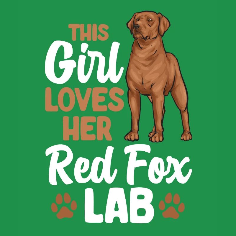 Fuchsroter Labrador Retriever Fox Red Labrador