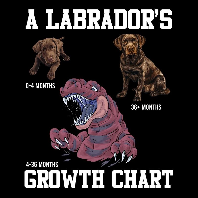Labrador Lovers Labrador GROWTH CHART