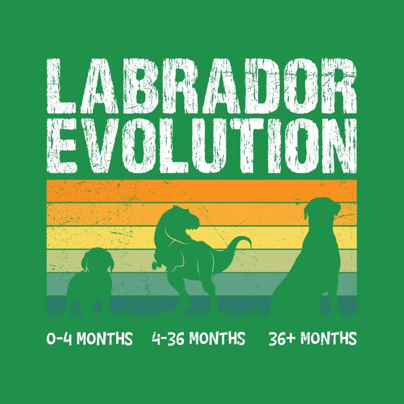 Labrador EVOLUTION Labrador Lover Drôle