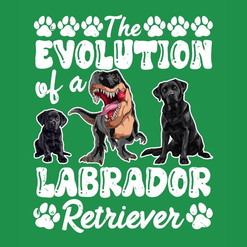 Hundebesitzer DIE EVOLUTION EINES LABRADOR