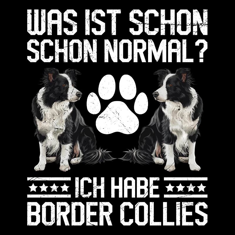 Border Collie WHAT IS NORMAL? HAVE BORDER