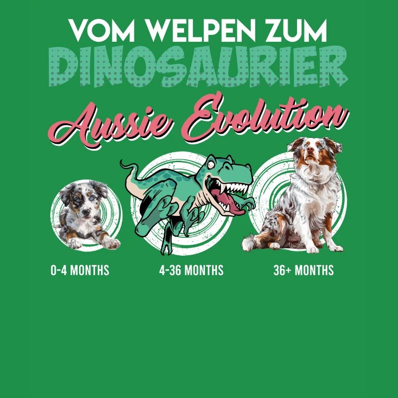 Aussie VOM WELPEN ZUM DINOSAURER AUSSIE EVOLUTION