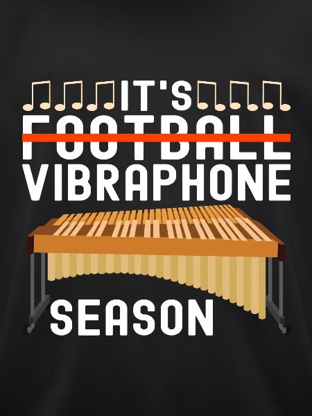 Vibraphon Vibraphonist