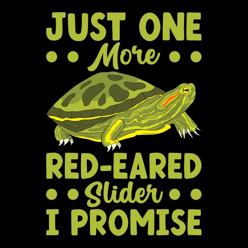 Turtle Red-eared slider