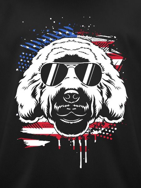 Goldendoodle
