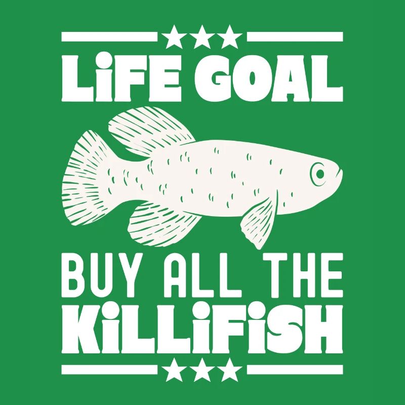 Killifisch Aquarium Fish Lovers
