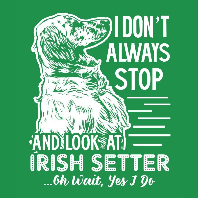 Look At Irish Setter