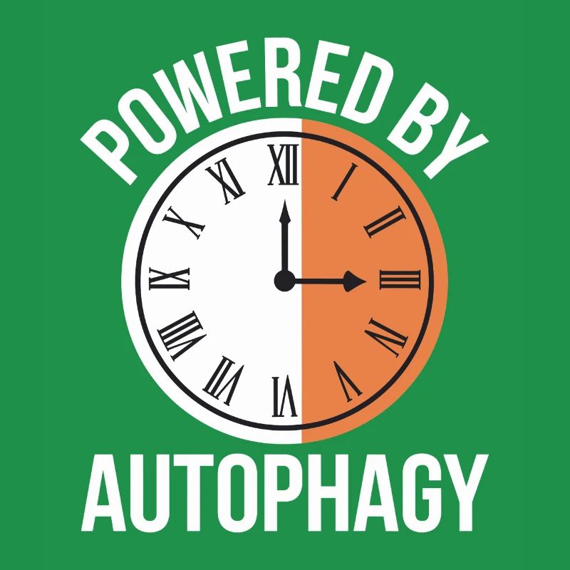 Intermittent fasting Intermittent fasting