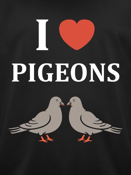 pigeon