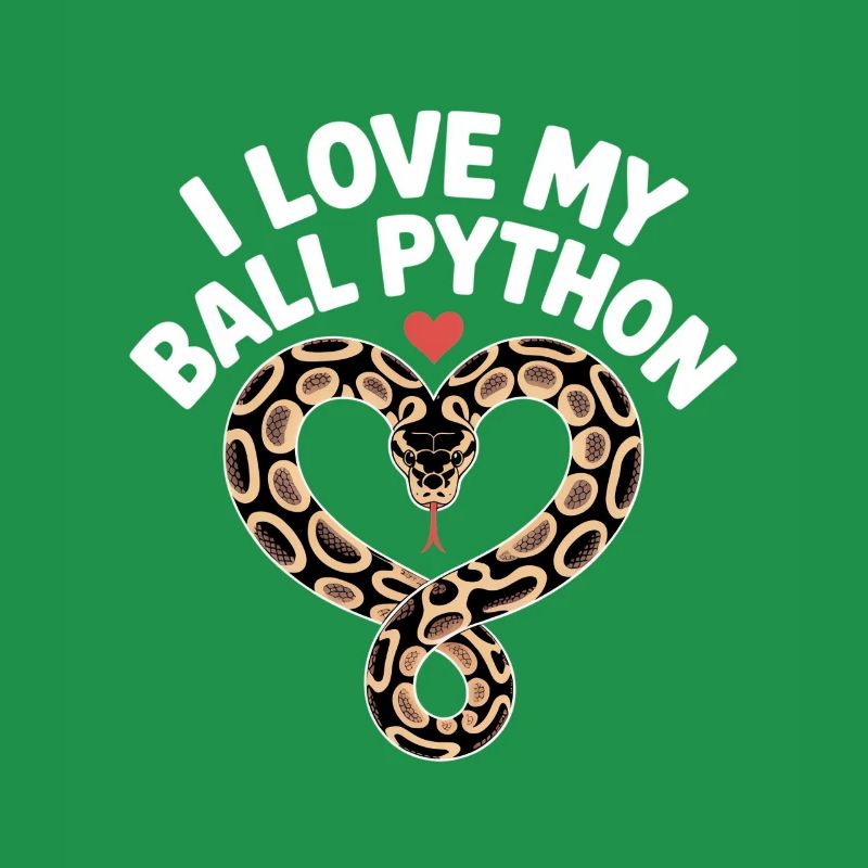 J’adore mon python royal ! Roi python