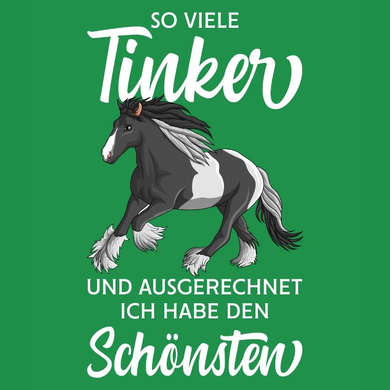 Tinker Pferd Reiterin Damen Pferde Mädchen