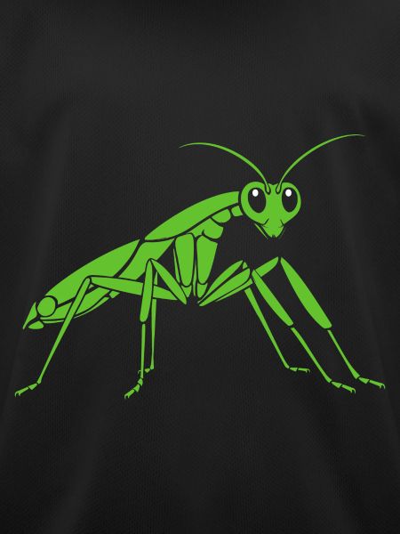 Praying mantis