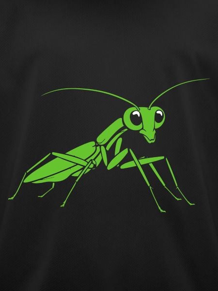Praying mantis