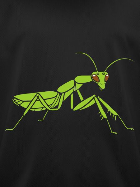 Praying mantis