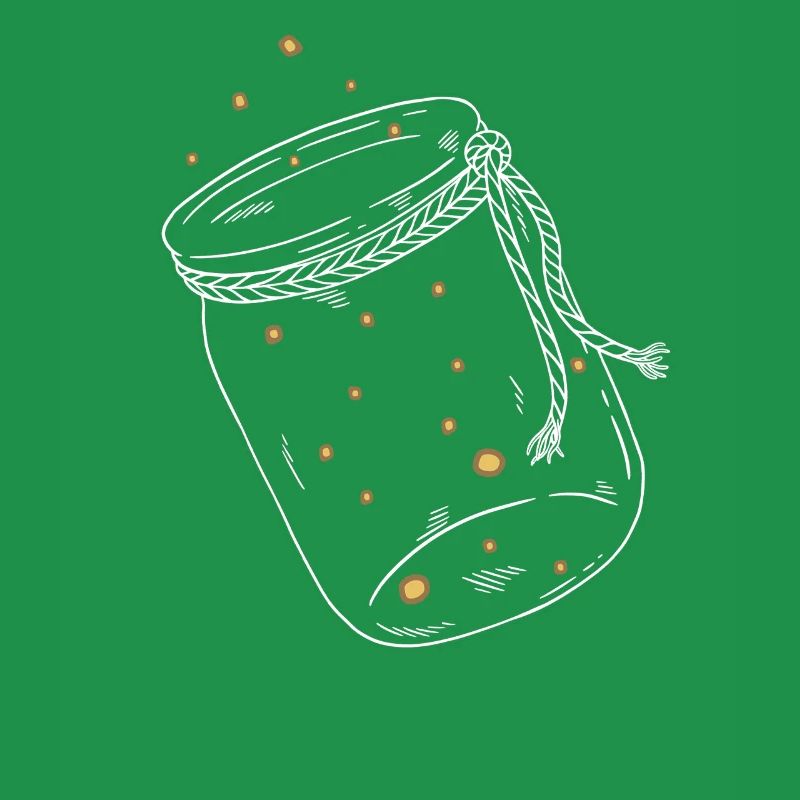Firefly firefly insect