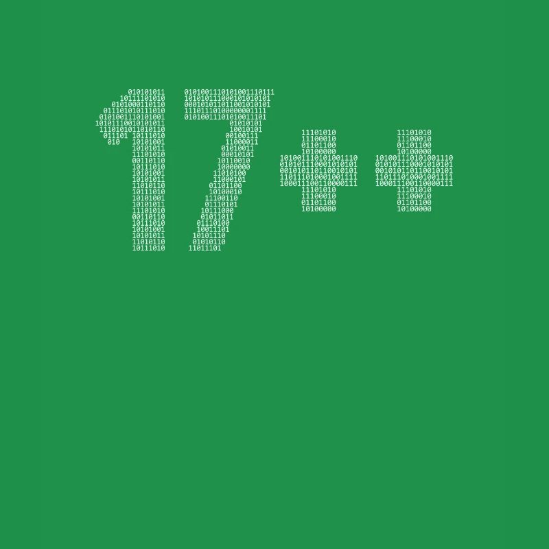 17++ Programmierer Developer Coder 18. Geburtstag