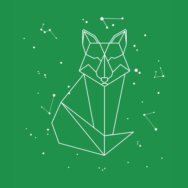 Sternbild Fox Constellation Red Fox Canidae