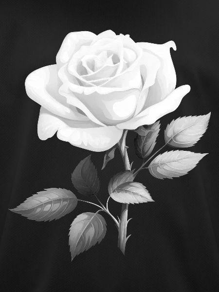 White Rose