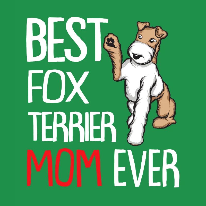 Foxterrier Drahthaar | Foxterrier