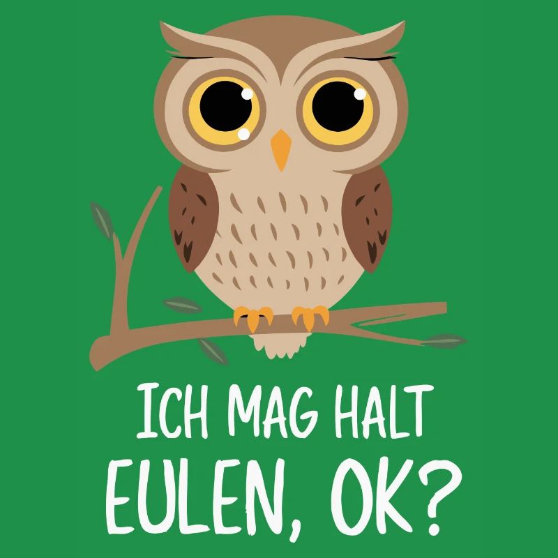 Nachteule Eule Eulen Vogel