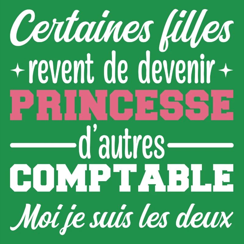 Princesse Comptable