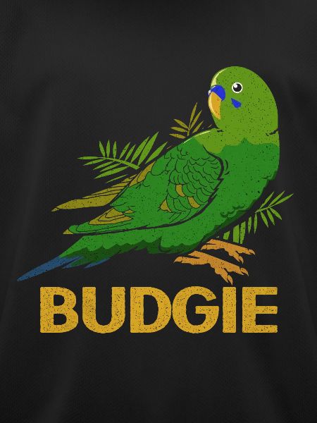 Budgie