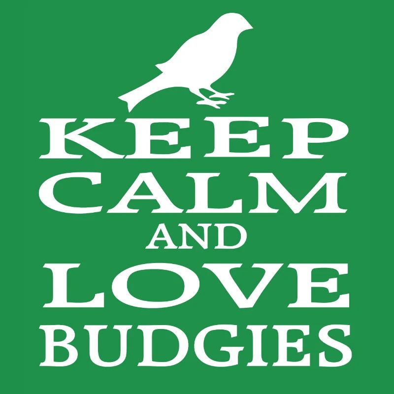 Budgie Bird