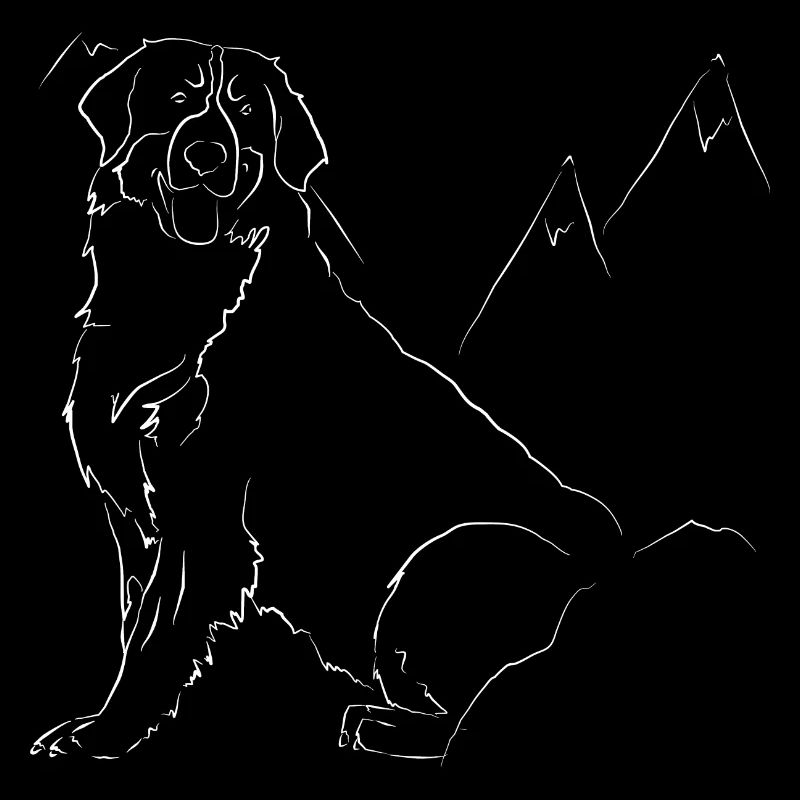 Bernese Mountain Dog