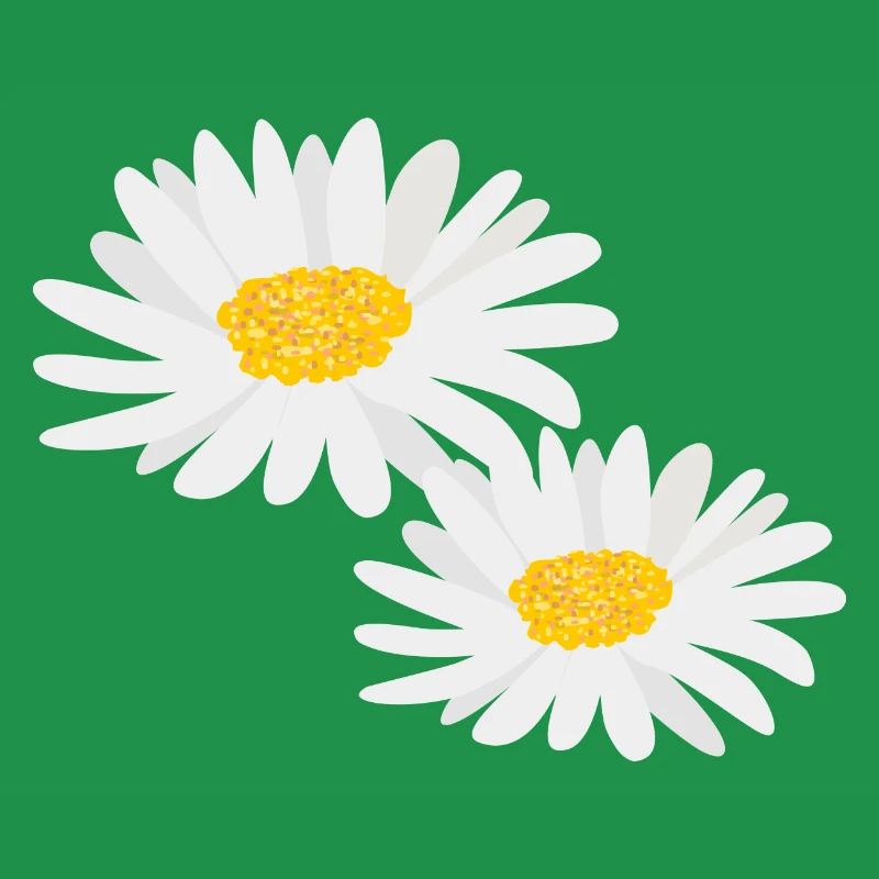 Blume Gänseblümchen