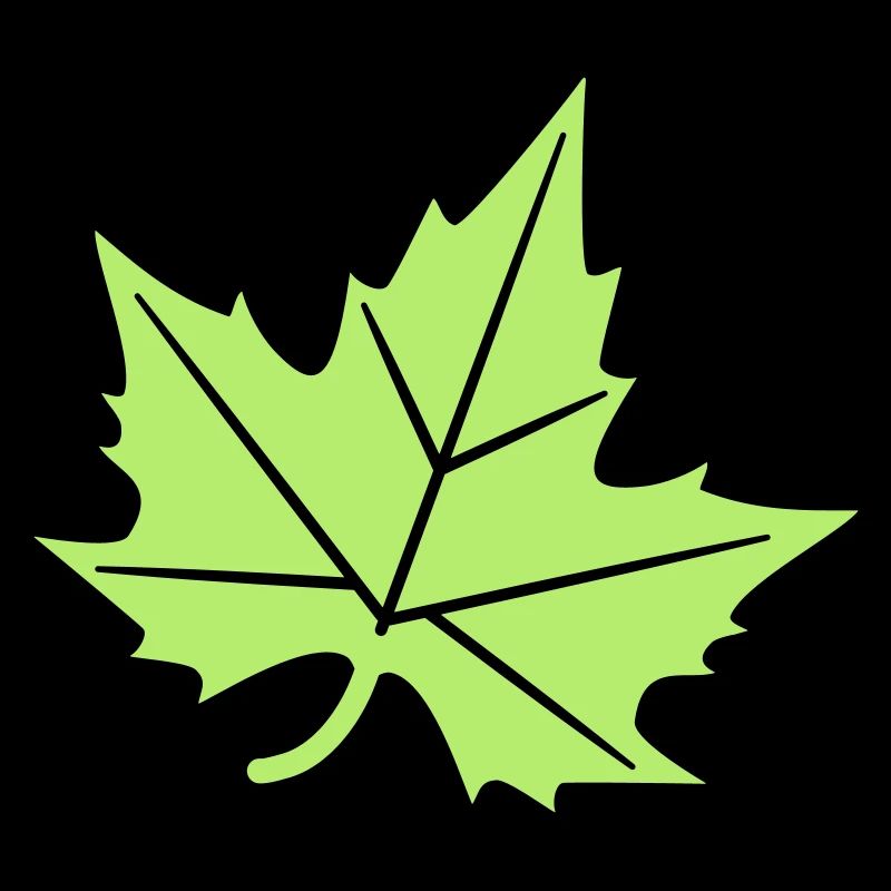 Platane Blatt Design