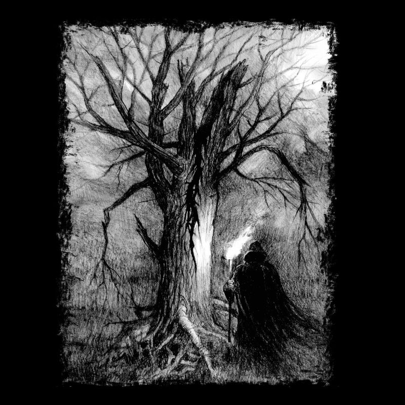 The Wanderer's Shadow by a Dead Tree