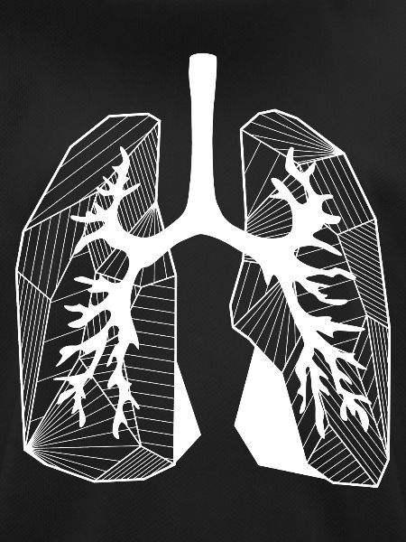 Lungs