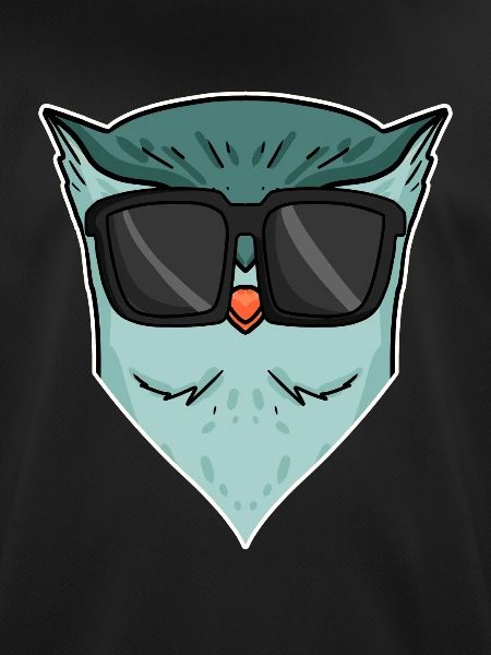 Eule mit Sonnenbrille