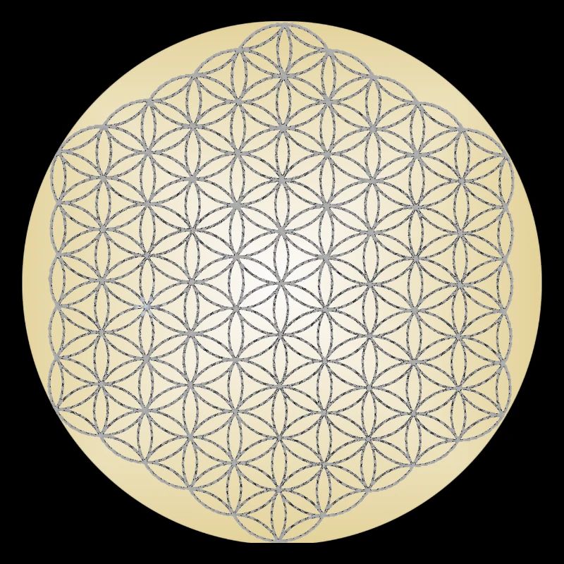 Blume des Lebens Silber - 5. Dimension - Mandala