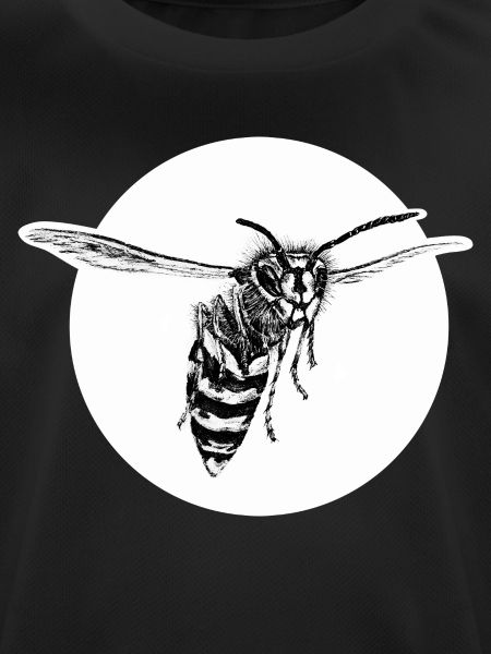 Wasp - Bee - Insect