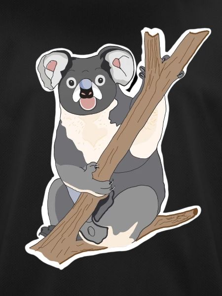 Koala Koala Bear