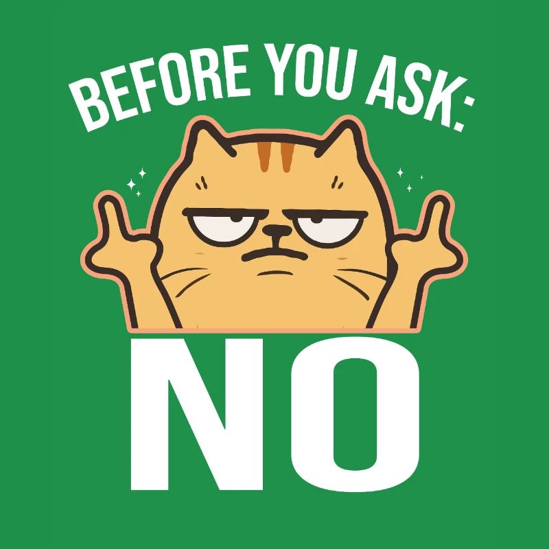 Chat effronté avec le majeur NON