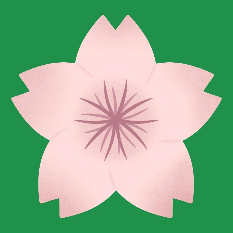 Blush Cherry Bloom