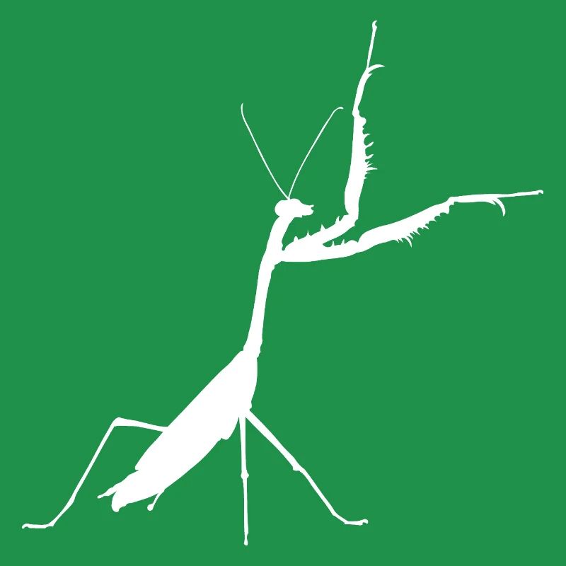 Praying mantis white