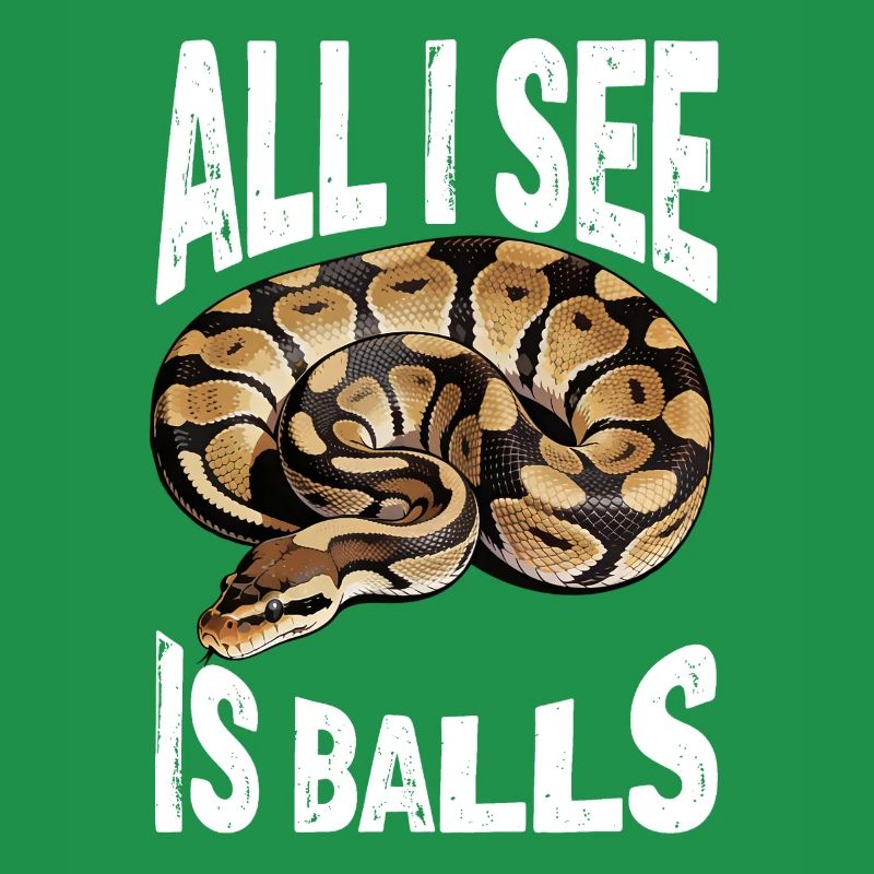 Python roi Serpents Amateurs de terrarium Python