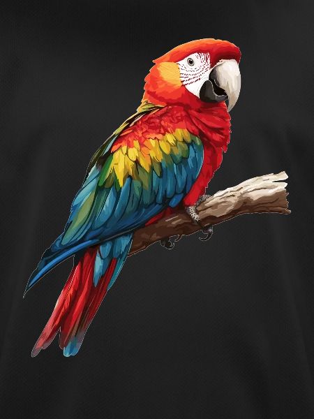 Macaw's Era