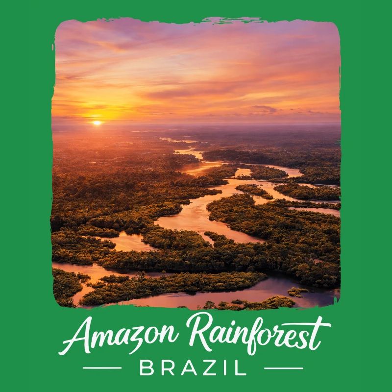Rainforest Sunset Brazil