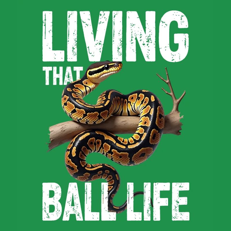 Königspython Schlangen Liebhaber Terrarium Python