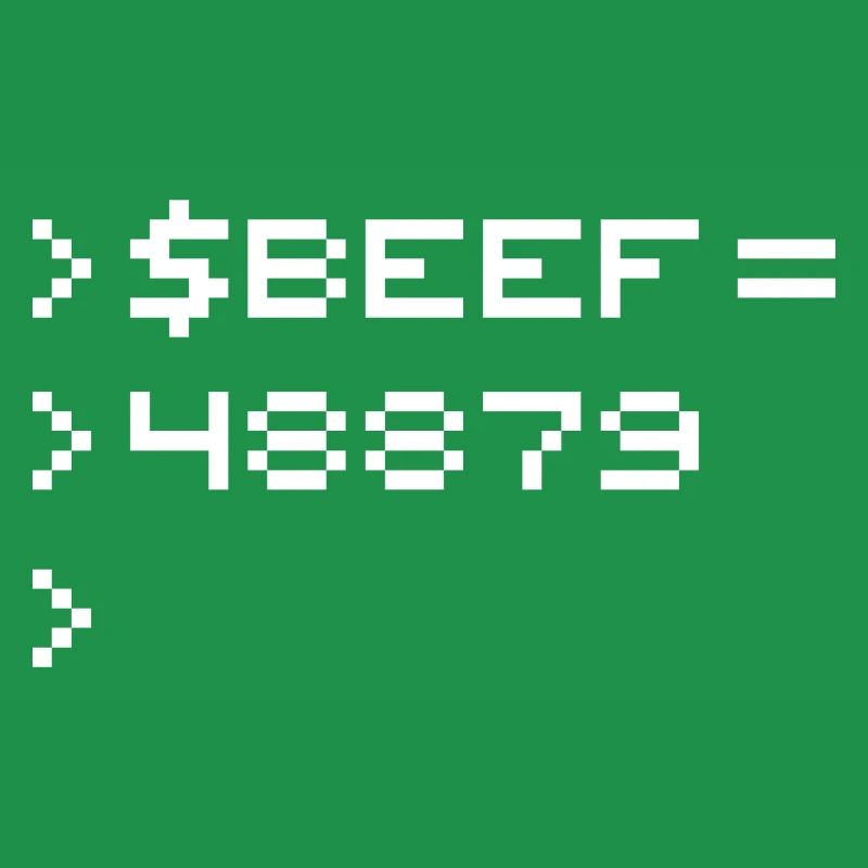 BEEF 8-Bit Code Nerd Pixel Terminal Retro