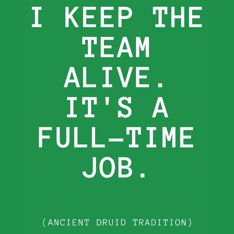 T-shirt sur le thème du druide de DeD