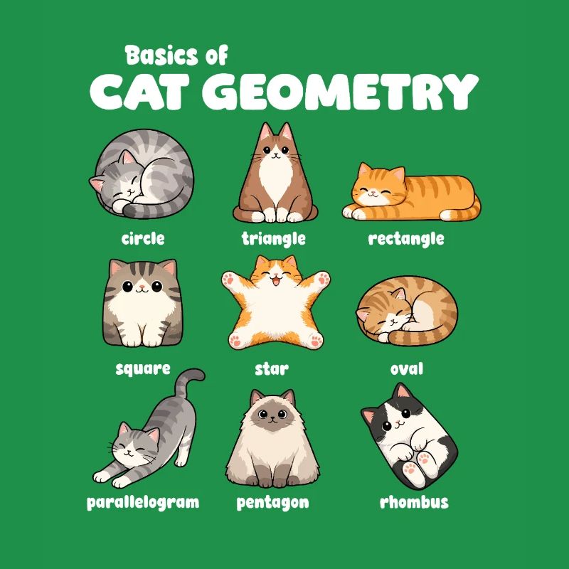 Basics of Cat Geometry Fun Math